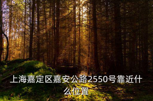 上海嘉定區(qū)嘉安公路2550號(hào)靠近什么位置