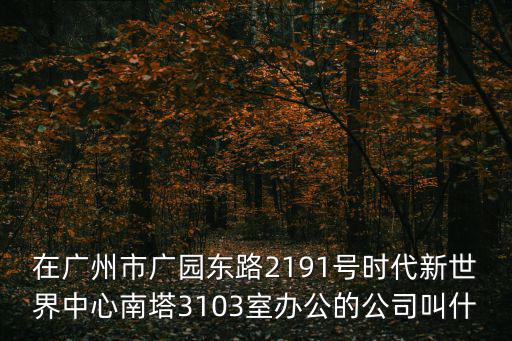 在廣州市廣園東路2191號時代新世界中心南塔3103室辦公的公司叫什