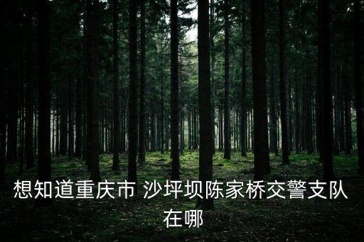 重慶市陳家橋車管所，想知道重慶市 沙坪壩陳家橋交警支隊 在哪