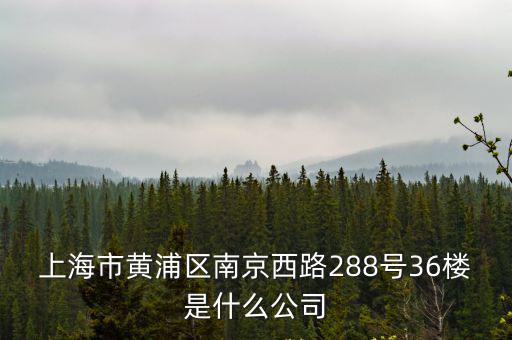 上海市黃浦區(qū)南京西路288號36樓是什么公司