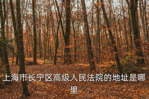 上海市長寧區高級人民法院的地址是哪里