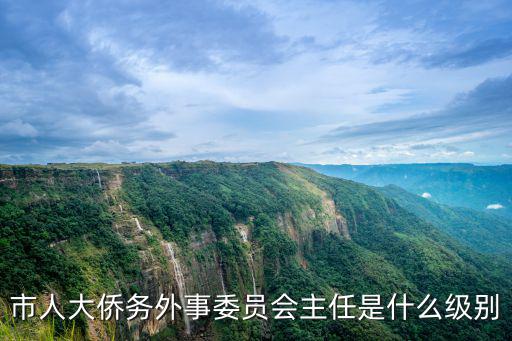 市人大僑務外事委員會主任是什么級別