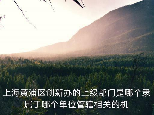 上海黃浦區創新辦的上級部門是哪個隸屬于哪個單位管轄相關的機
