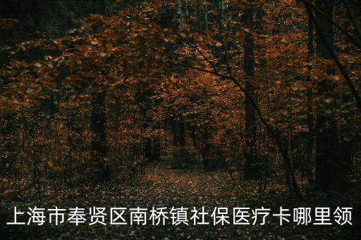 上海市奉賢區(qū)南橋鎮(zhèn)社保醫(yī)療卡哪里領(lǐng)
