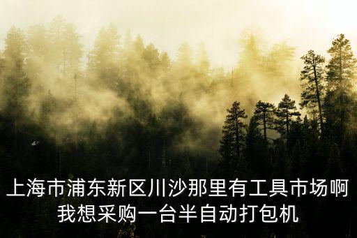 上海市欽典包裝機械有限公司，三角包茶葉包裝機的特點上海欽典機械制造有限公司主要以那些產品