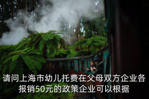 請問上海市幼兒托費在父母雙方企業(yè)各報銷50元的政策企業(yè)可以根據(jù)