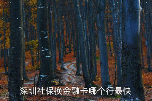 深圳平安銀行社保金融卡，在深圳用社?？ㄞk理平安銀行的工資卡可以嗎
