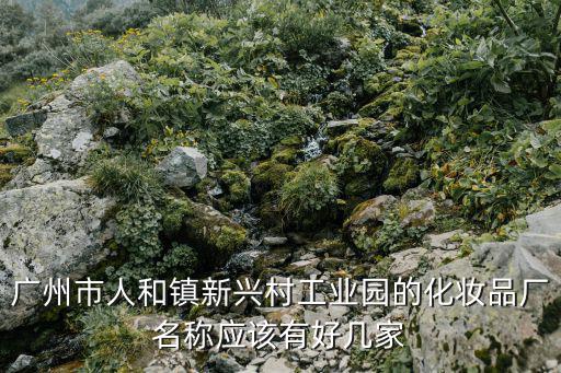 廣州市人和鎮新興村工業園的化妝品廠名稱應該有好幾家