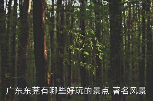 廣東東莞有哪些好玩的景點(diǎn) 著名風(fēng)景