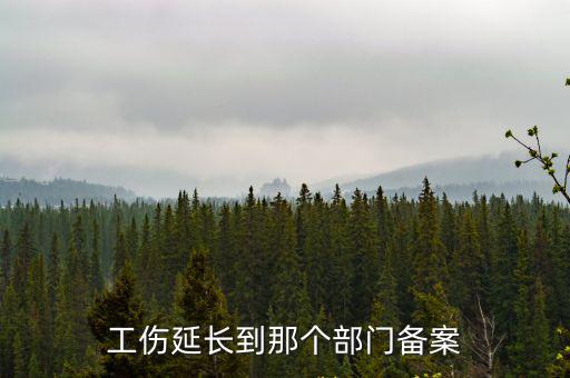 工傷延長到那個部門備案
