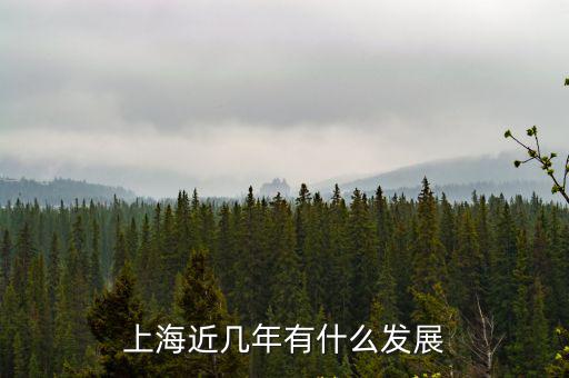 上海近幾年有什么發展