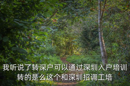 我聽說了轉(zhuǎn)深戶可以通過深圳入戶培訓(xùn)轉(zhuǎn)的是么這個和深圳招調(diào)工培