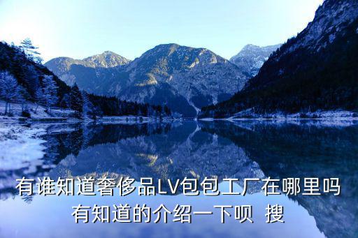 有誰知道奢侈品LV包包工廠在哪里嗎有知道的介紹一下唄  搜