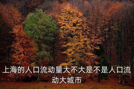 上海的人口流動量大不大是不是人口流動大城市