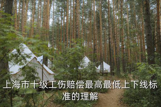 上海市工傷10級(jí)，上海市十級(jí)工傷賠償最高最低上下線標(biāo)準(zhǔn)的理解