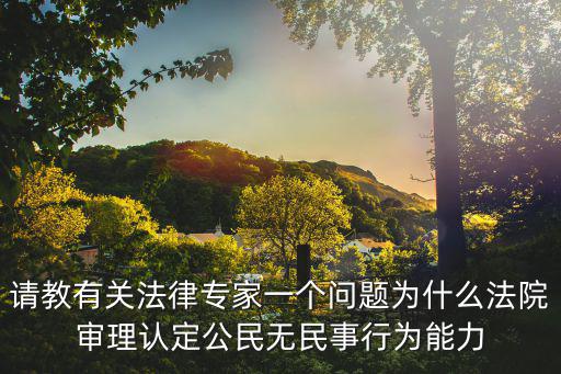 請教有關法律專家一個問題為什么法院審理認定公民無民事行為能力