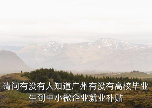 請問有沒有人知道廣州有沒有高校畢業生到中小微企業就業補貼
