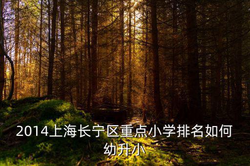 2014上海長寧區重點小學排名如何幼升小
