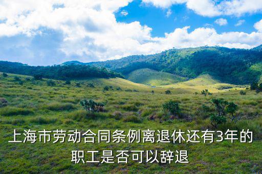 上海市勞動(dòng)合同條例，上海市勞動(dòng)合同法