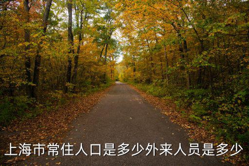上海市新虹人口，上海人口