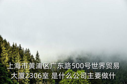 上海市黃浦區廣東路500號世界貿易大廈2306室 是什么公司主要做什