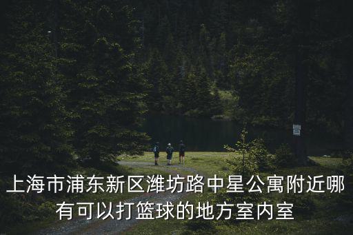 上海市浦東新區濰坊路中星公寓附近哪有可以打籃球的地方室內室