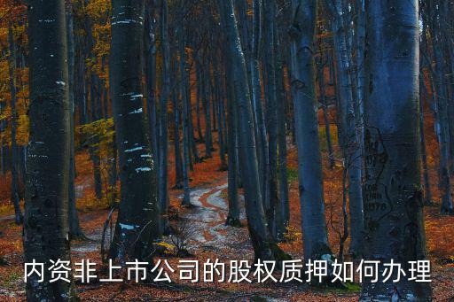 上海市工商局 股權質押，內資非上市公司的股權質押如何辦理