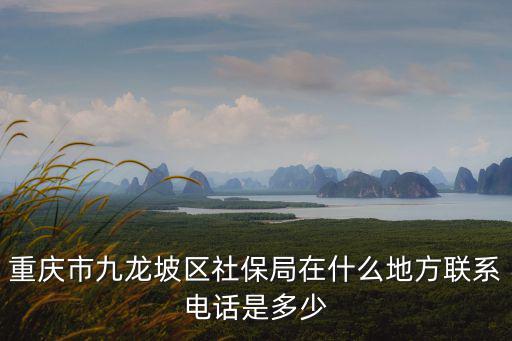 重慶市九龍坡區社保局在什么地方聯系電話是多少