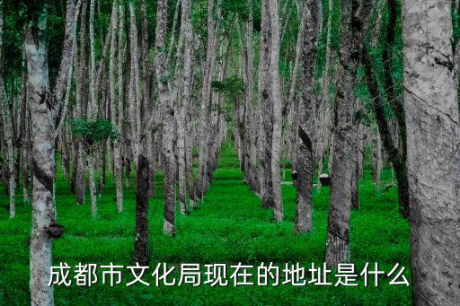 成都市文化局現在的地址是什么