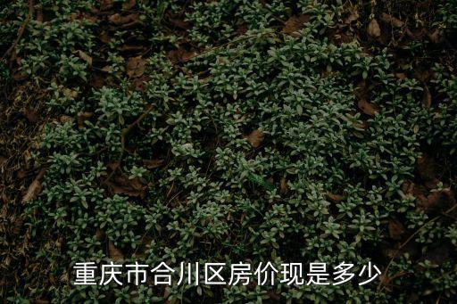 重慶市合川區房價現是多少