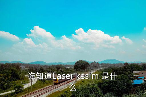 誰知道Laser kesim 是什么