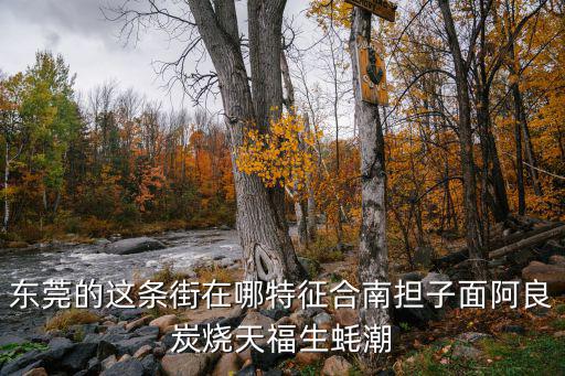 東莞常平鎮阿良燒烤，東莞的這條街在哪特征合南擔子面阿良炭燒天福生蠔潮