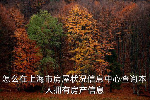 怎么在上海市房屋狀況信息中心查詢本人擁有房產信息
