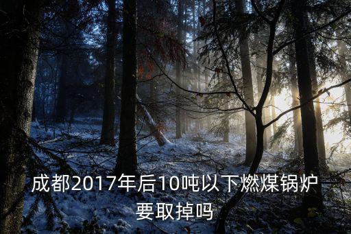 成都2017年后10噸以下燃煤鍋爐要取掉嗎