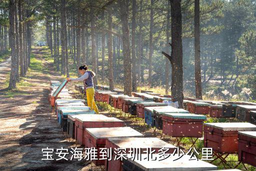 寶安海雅到深圳北多少公里