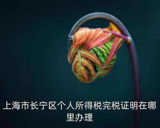 上海市長寧區個人所得稅完稅證明在哪里辦理