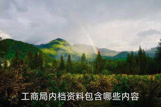 工商局內檔資料包含哪些內容
