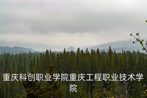重慶市道路挖掘，重慶區縣120萬方土方17石方27含爆破運一公里請問下做得不