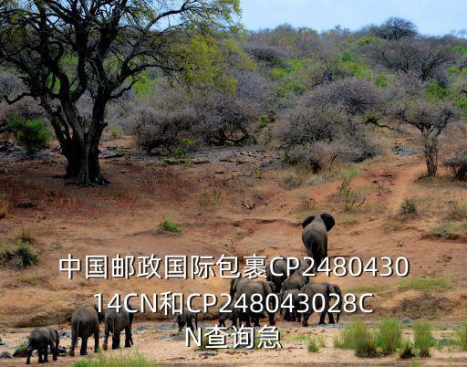 中國郵政國際包裹CP248043014CN和CP248043028CN查詢急