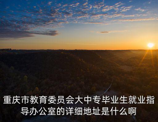 重慶市教育委員會(huì)大中專(zhuān)畢業(yè)生就業(yè)指導(dǎo)辦公室的詳細(xì)地址是什么啊