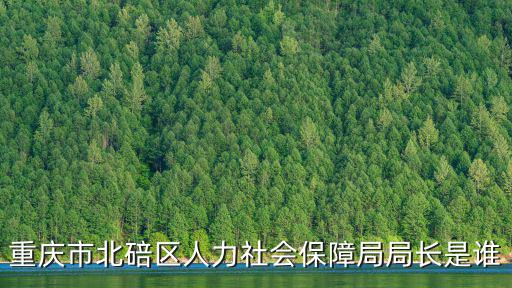 重慶市北碚區(qū)人力社會(huì)保障局局長(zhǎng)是誰(shuí)