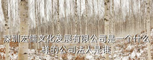 深圳宏儒文化發展有限公司是一個什么樣的公司法人是誰