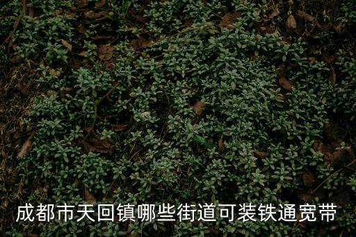 成都市天回鎮(zhèn)哪些街道可裝鐵通寬帶