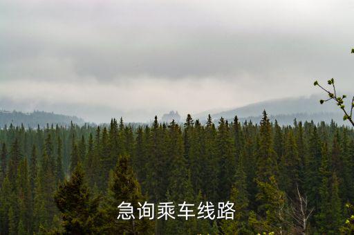 成都市青白羊去棚戶區，青羊區區長你好請問成都市王家塘巷6號是棚戶區是否納入2013