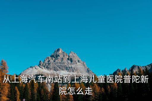 從上海汽車南站到上海兒童醫院普陀新院怎么走
