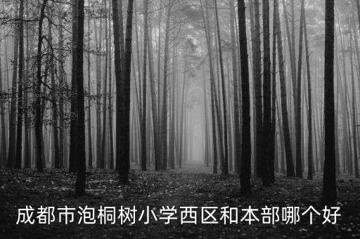 成都市泡桐樹小學，成都市泡桐樹小學西區和本部哪個好