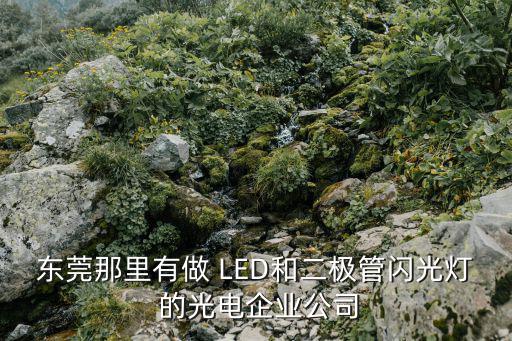 東莞市光電，東莞那里有做 LED和二極管閃光燈 的光電企業公司