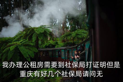 我辦理公租房需要到社保局打證明但是重慶有好幾個社保局請問無