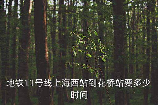 地鐵11號線上海西站到花橋站要多少時間
