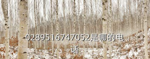 0289516747052是哪的電話